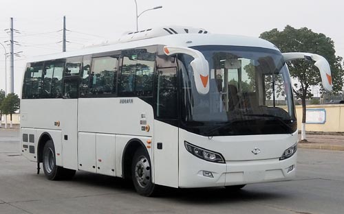 飞燕牌SDL6839EVG型纯电动城市客车