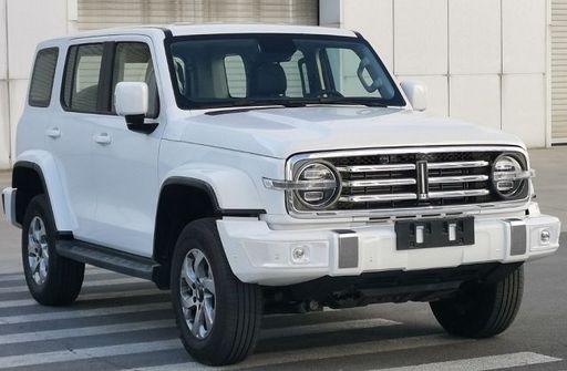 魏派牌CC2030BE21A型越野乘用车